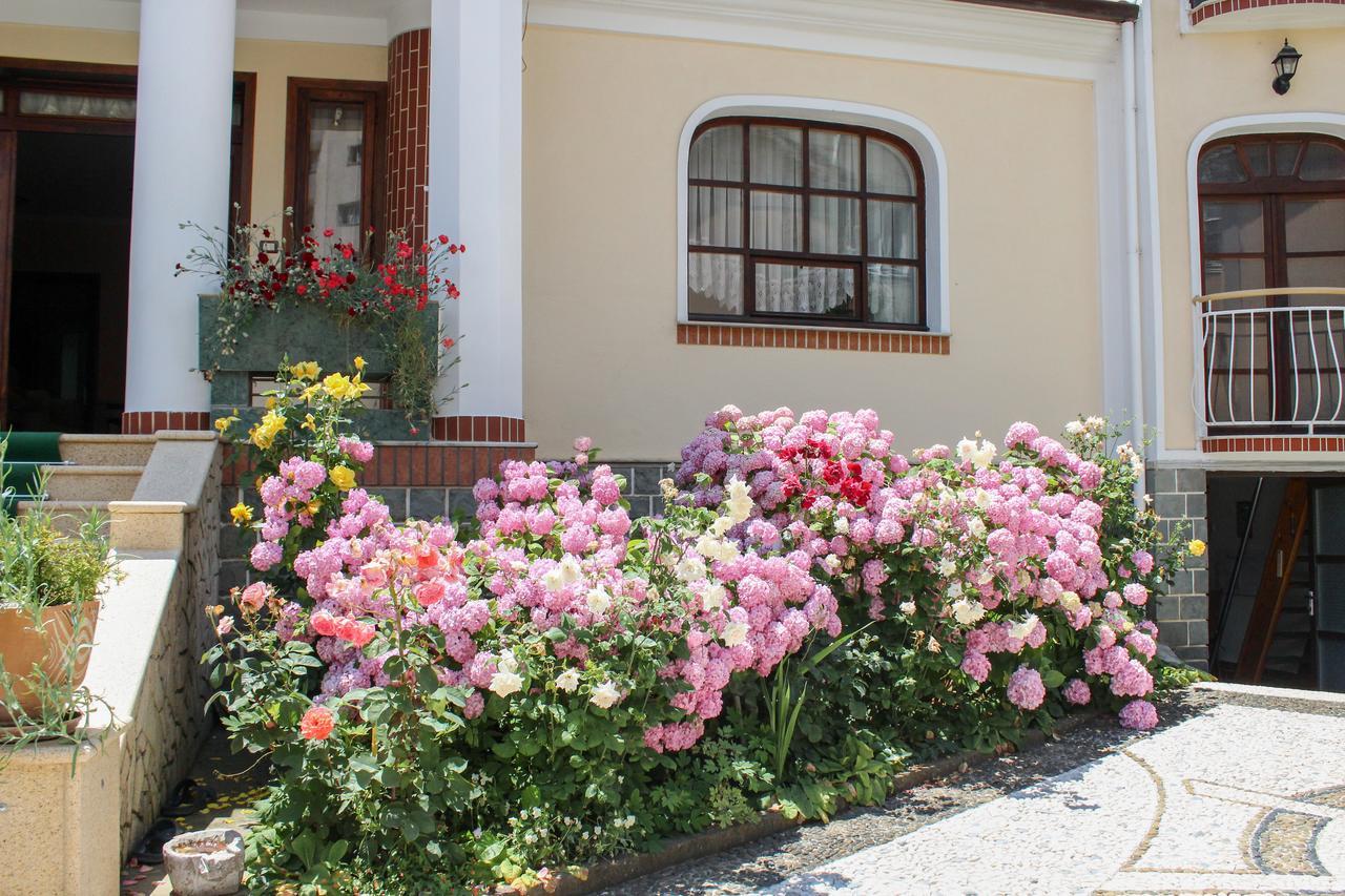 Vila Topciu โปกราเดซ ภายนอก รูปภาพ
